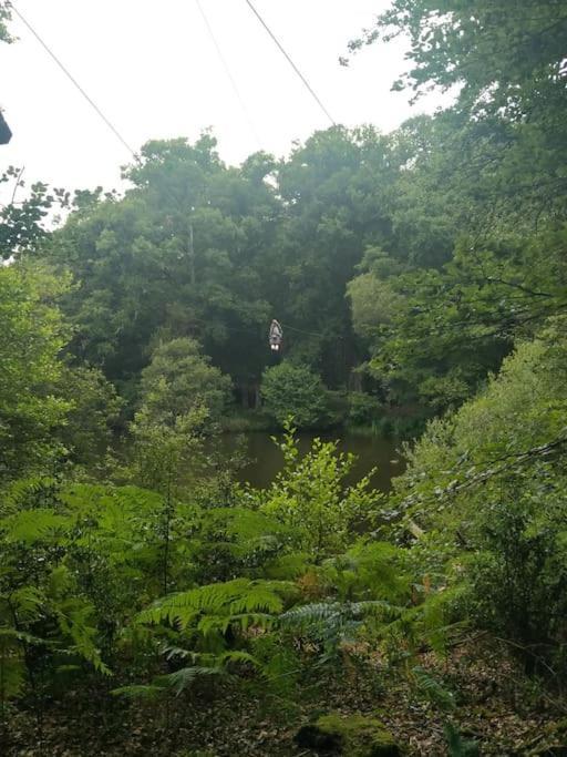 Le Mimosa, Maison De Vacances Trans Exteriör bild