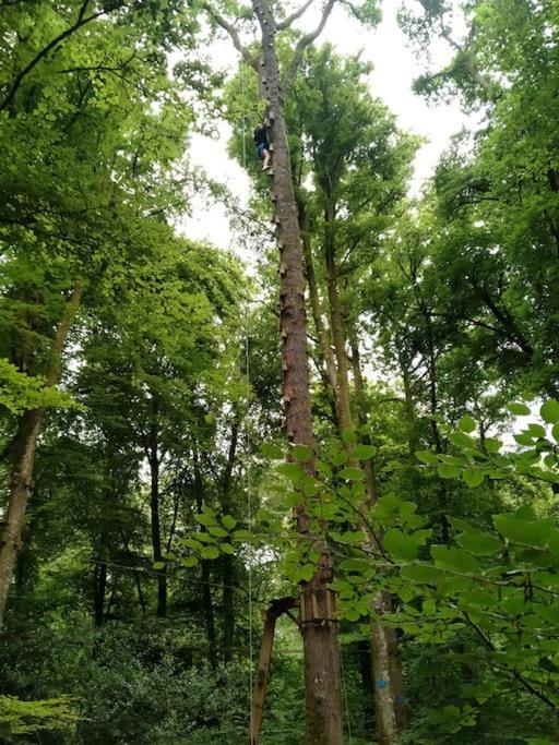 Le Mimosa, Maison De Vacances Trans Exteriör bild
